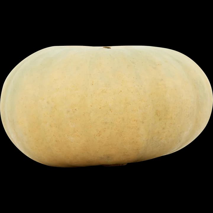 Jumbo Bio Grijze Pompoen