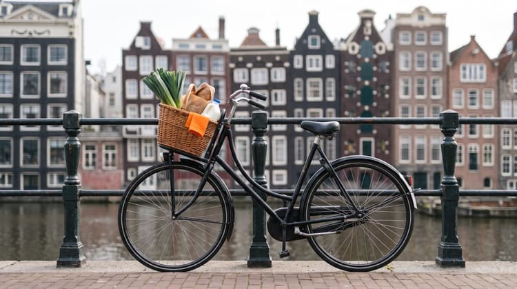 Grocery shopping in the Netherlands: the expat guide to Dutch supermarkets (2026)