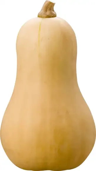 Butternut pompoen